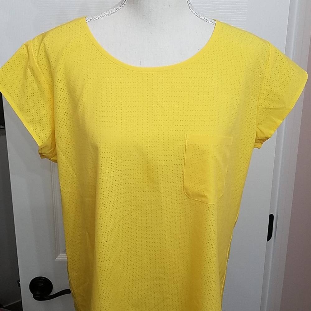 Ann Taylor blouse